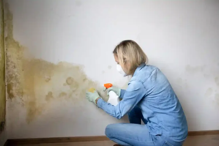 Moisture-prone areas in home